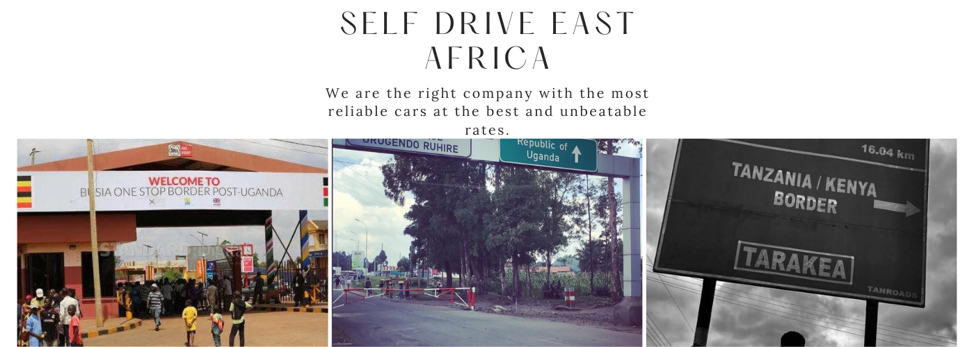 self drive east africa