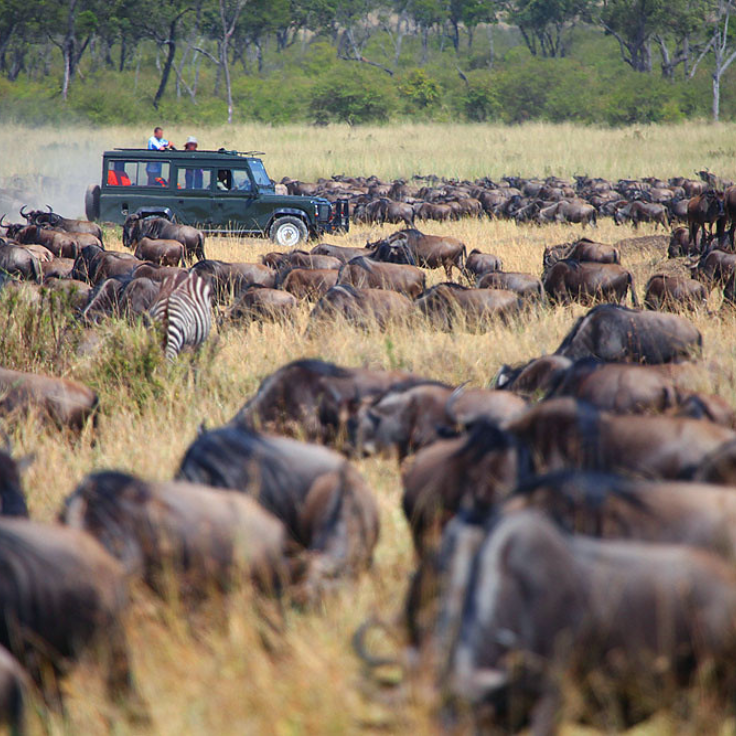 self drive Uganda - Kenya